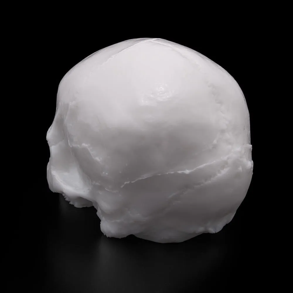 A Pound Of Flesh - Tattooable Yorick Skull - White Tone