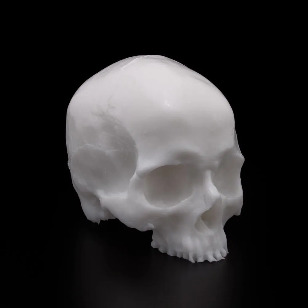 A Pound Of Flesh - Tattooable Yorick Skull - White Tone