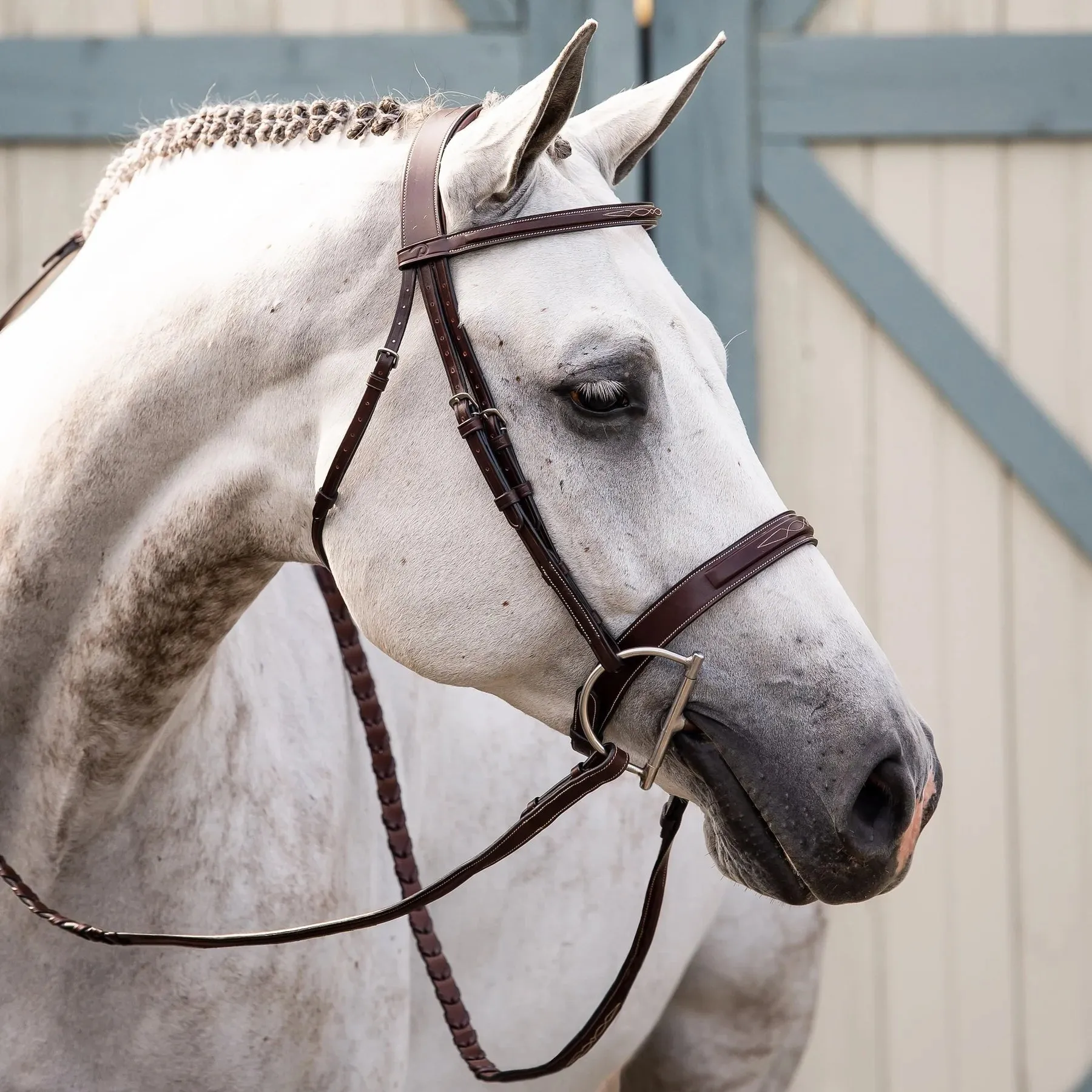 Dy'on Wide Nose Anatomic Hunter Bridle