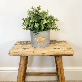 Gold Star Cement Planter, 13cm