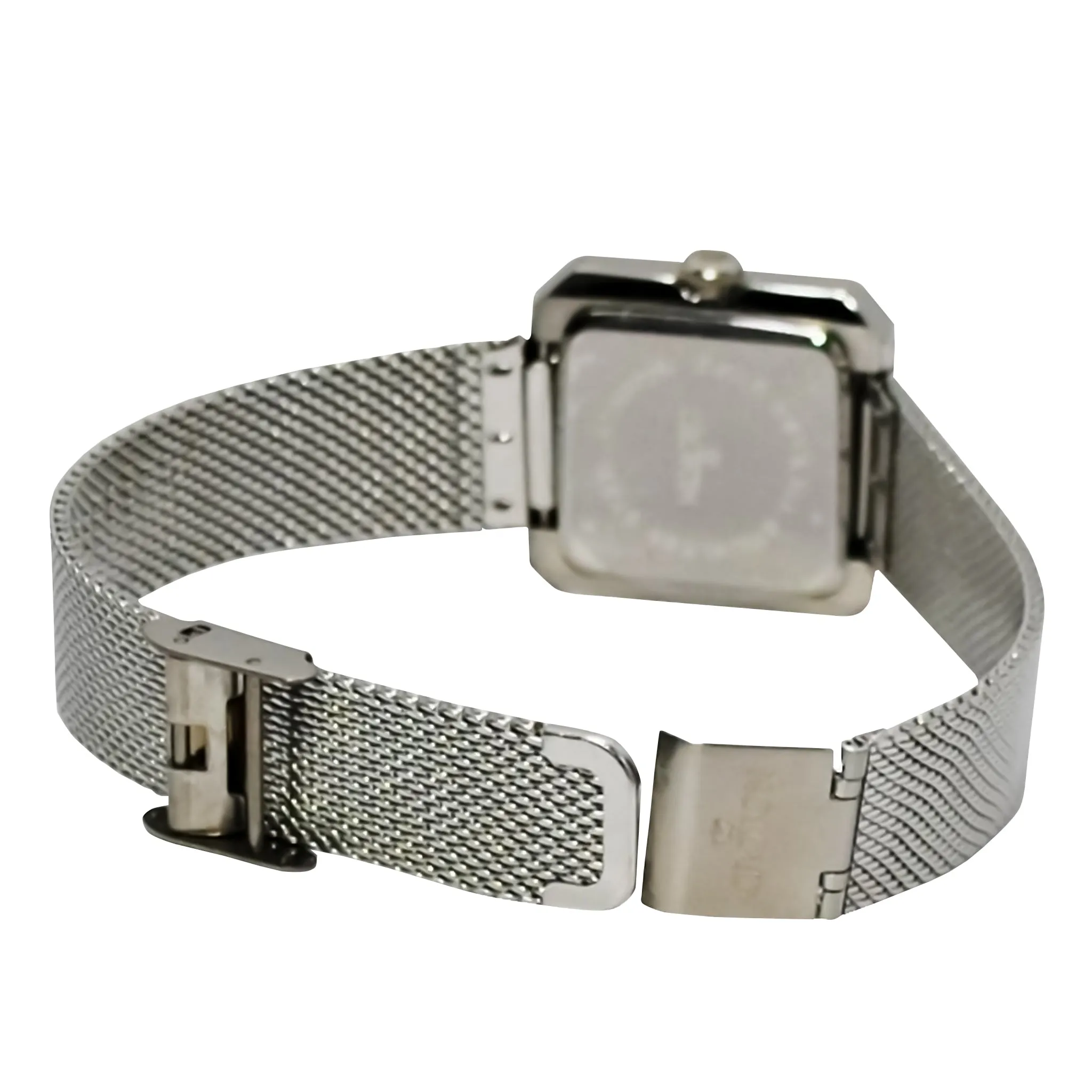 Ladies All Stainless Steel Silvertone Mesh Bracelet Watch with Gray Dial