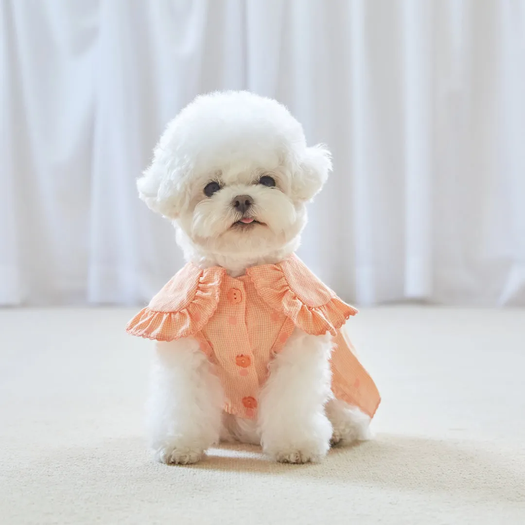 Polka Dot Princess Flap-Collar Dress - Coral