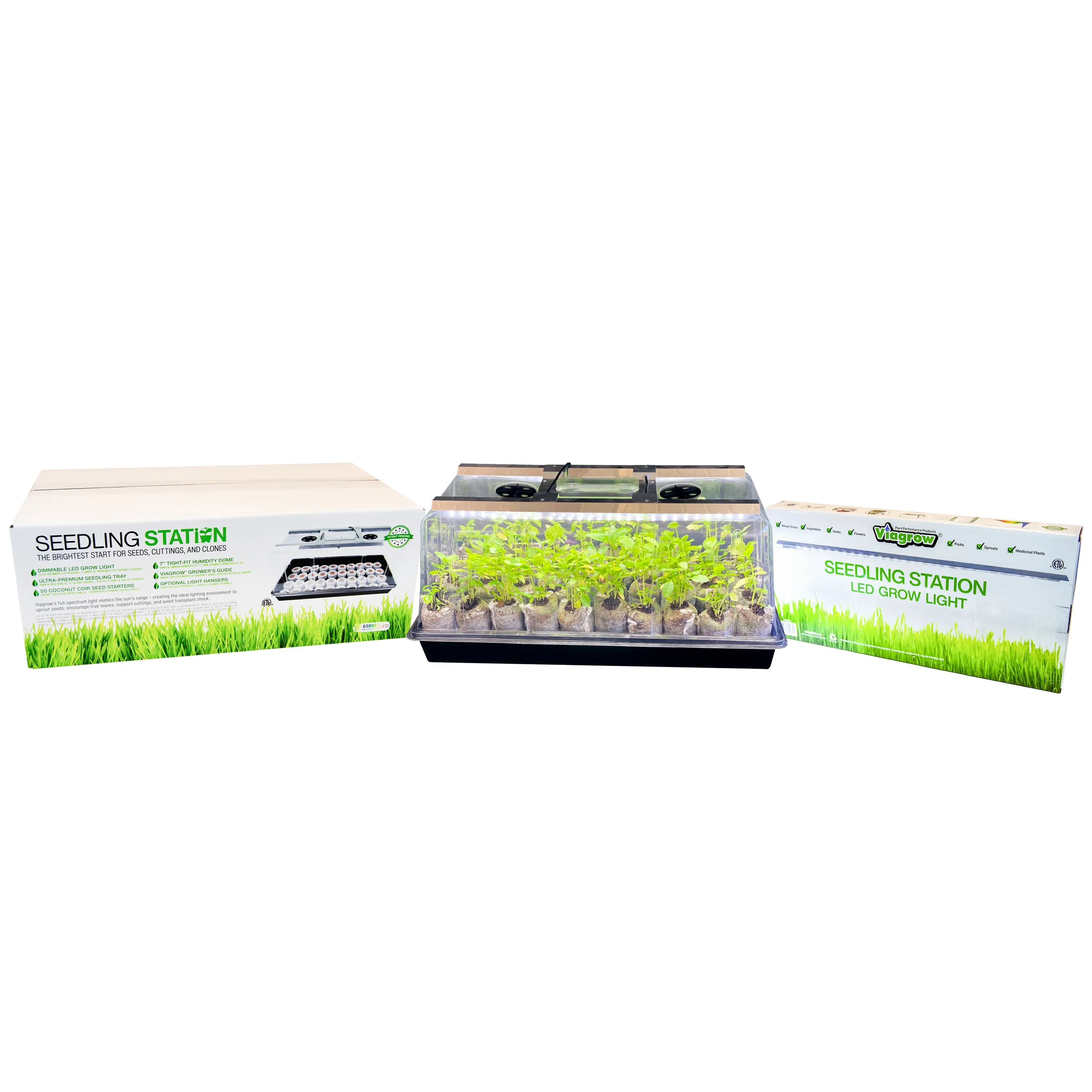 Viagrow Seedling Station Kit with LED Grow Light, Propagation Dome, Tray and 50 Coir Seedling Starters (EA)