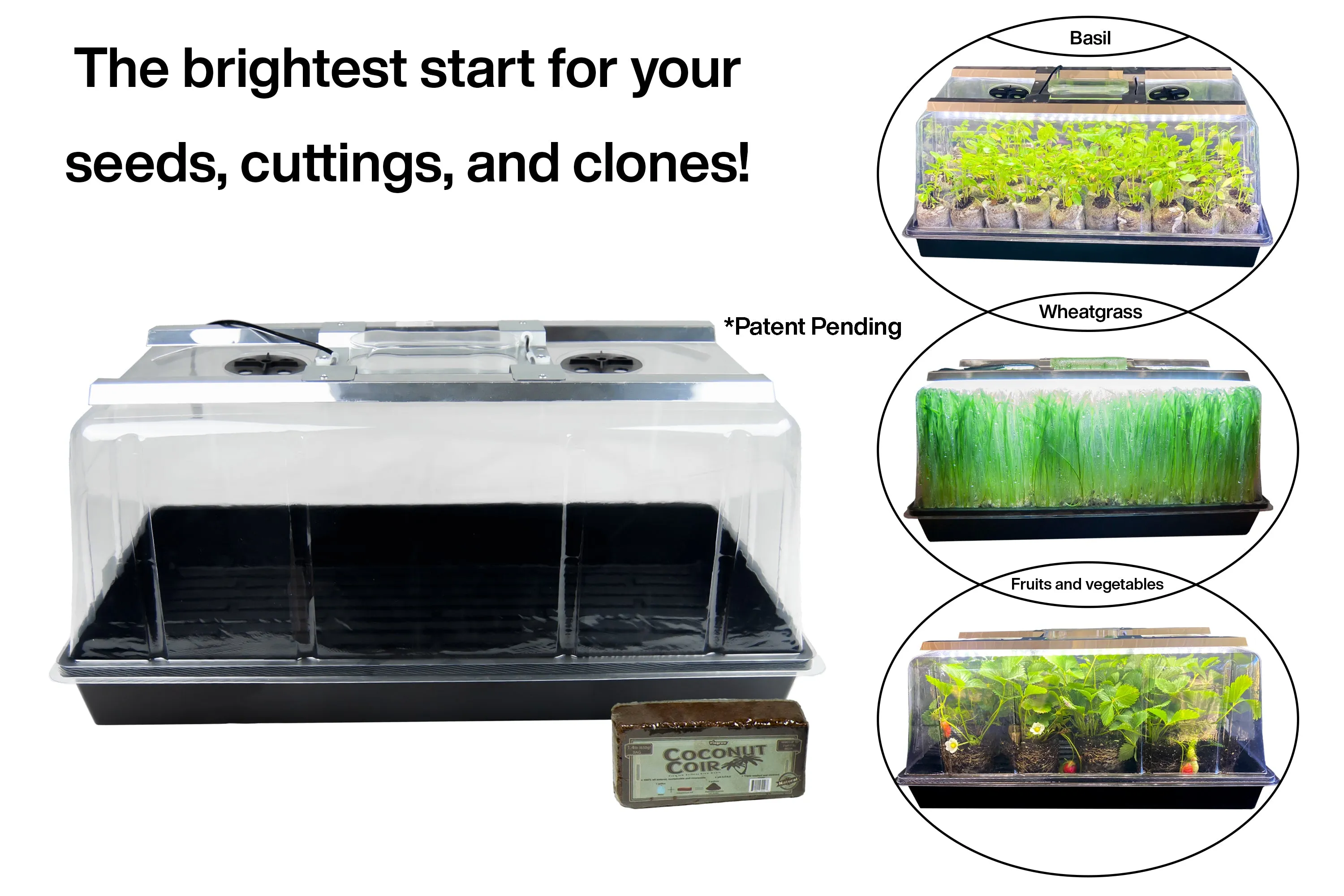 Viagrow Seedling Station Kit with LED Grow Light, Propagation Dome, Tray and 50 Coir Seedling Starters (EA)