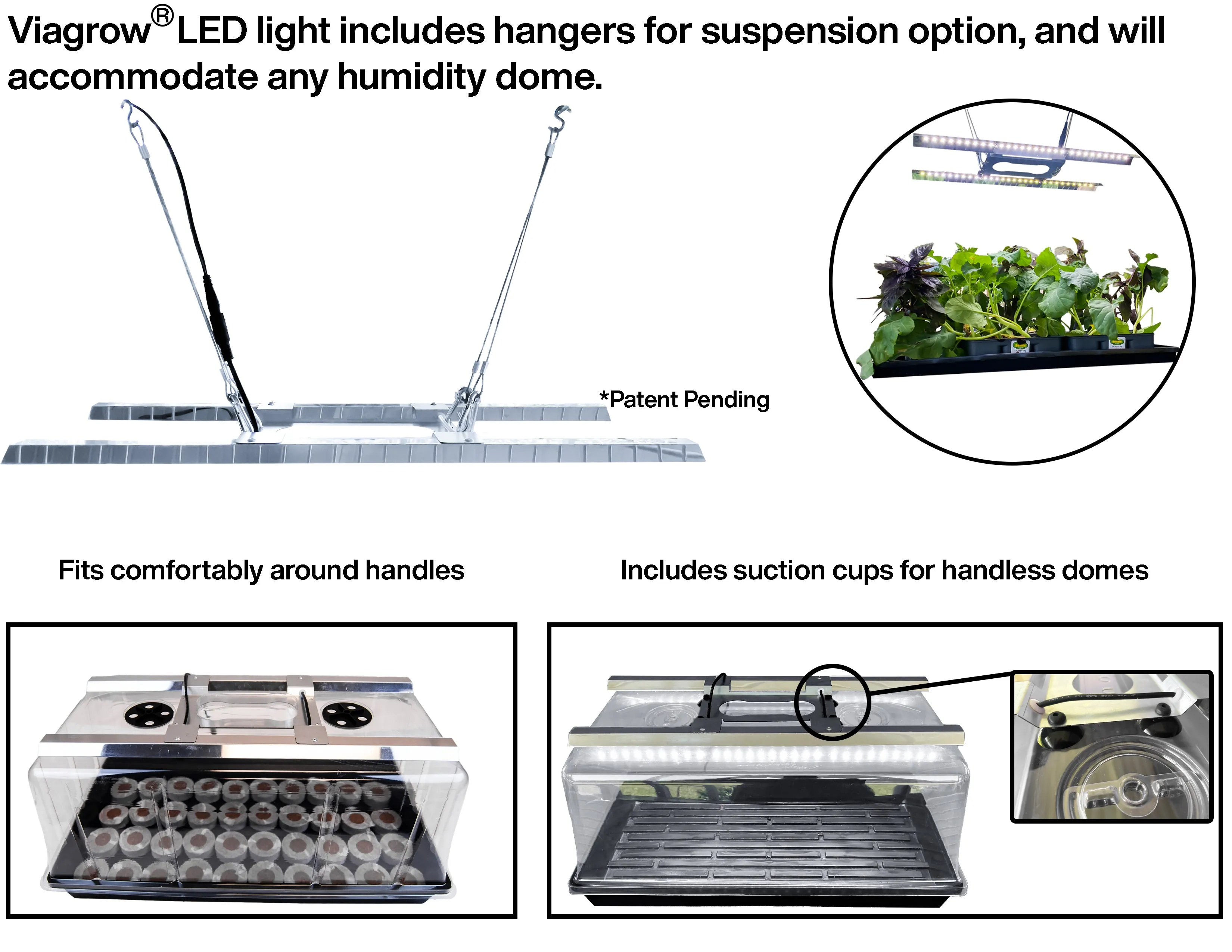 Viagrow Seedling Station Kit with LED Grow Light, Propagation Dome, Tray and 50 Coir Seedling Starters (EA)